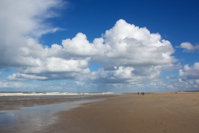 IMG_0412.jpg