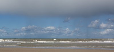IMG_0433.jpg