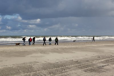 IMG_8752.jpg