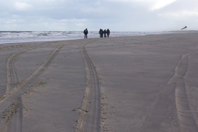 IMG_8814.jpg
