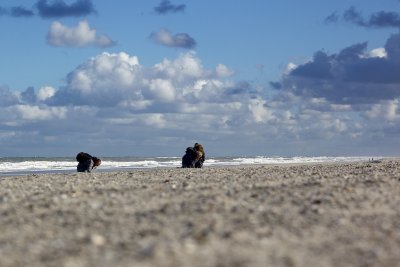 IMG_8984.jpg