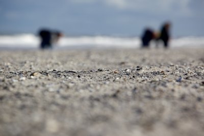 IMG_8985.jpg