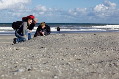 IMG_8999.jpg