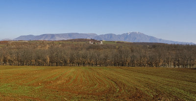 IMG_8483.jpg