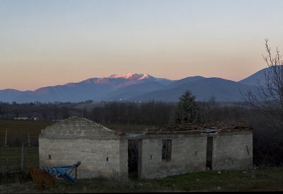IMG_8499.jpg