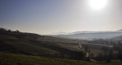 003IMG_4417.jpg