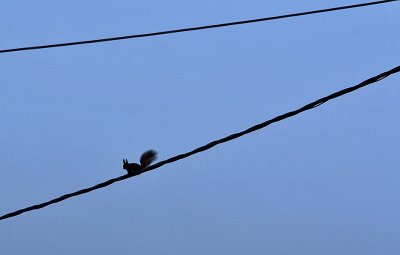 030IMG_8990.jpg