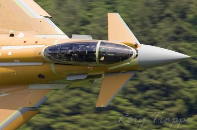 Saudi Arabian Air force Typhoon...in primer