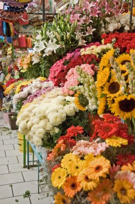 Market in San Miguel de Allende