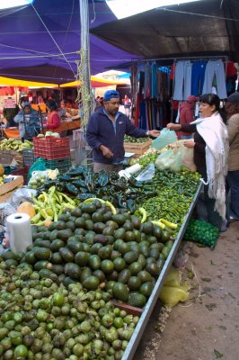 Tuesday Market Veggies