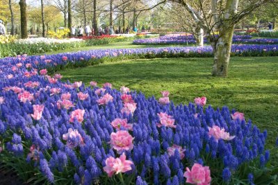 Keukenhof, Gardens