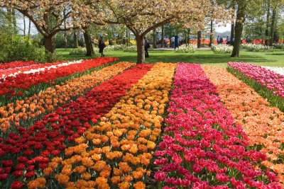 Keukenhof, Gardens