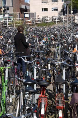 Bicycle Parking