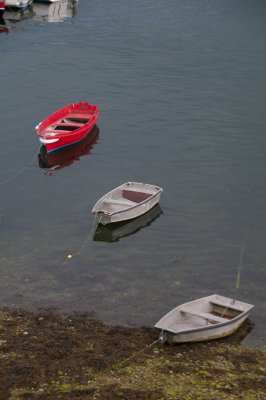 g1/04/534004/3/127928862.KvA7NUeK.jpg