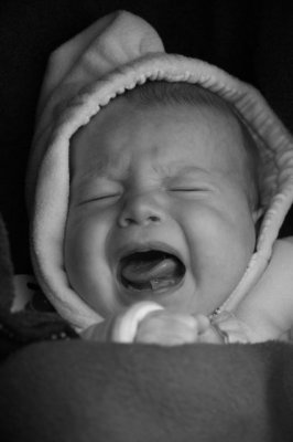 Saskia 11 weeks.jpg