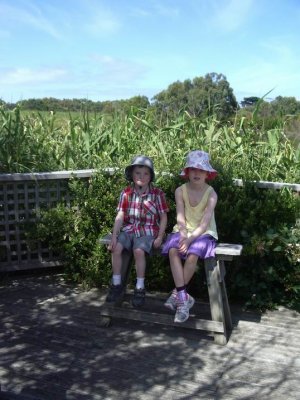 Coolart lookout