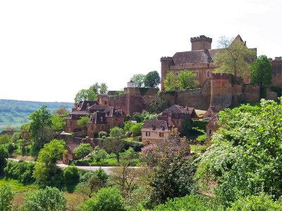 Chateau de Castelnau
