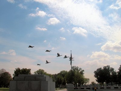 Canada Geese at WWII Memorial