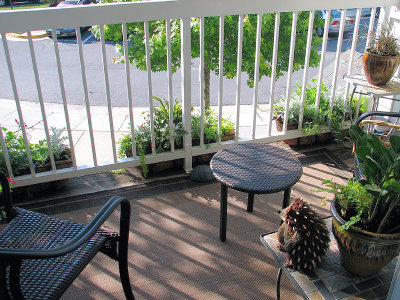 MB's Townhouse Covered Deck Garden