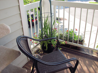 MB's Townhouse Covered Deck Garden