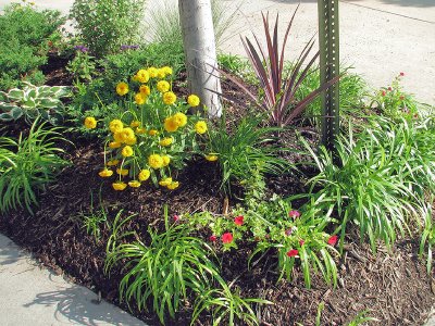 MB's Townhouse Garden