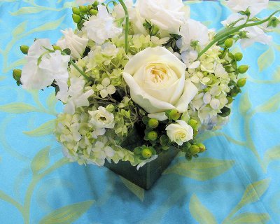 Roses and Hydrangeas