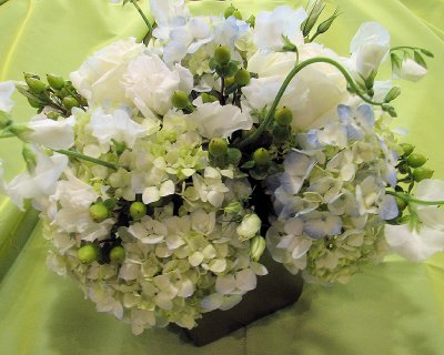 Hydrangeas