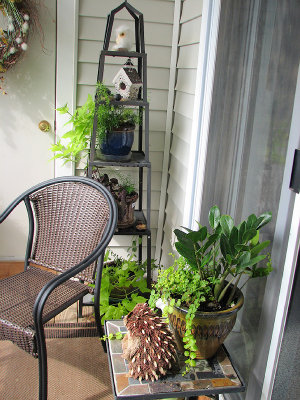 MB's Covered Deck