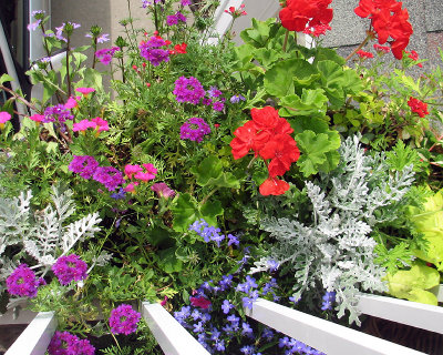Deck Planter