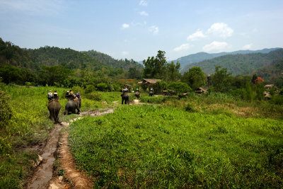The elephant ride takes the tourist to a Meo hill-tribe village