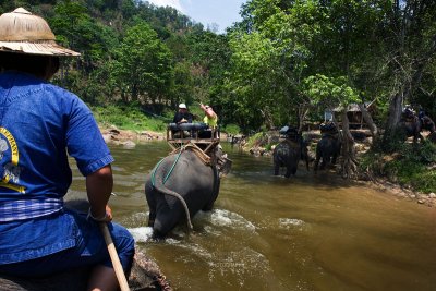 Crossing the river on the back of an elephant