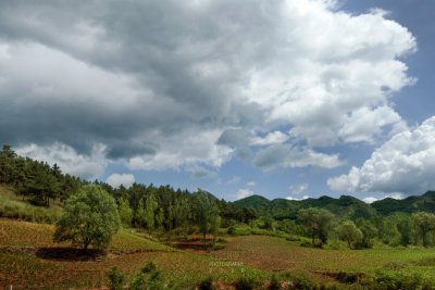 Rural Chengde (CWS9054)