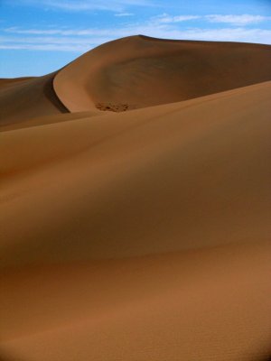 g1/04/616504/3/125804294.xRGL7y3x.jpg