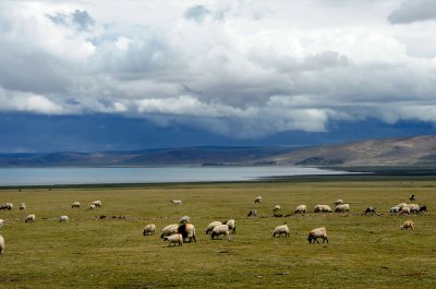 Tibetan Plateau 2010
