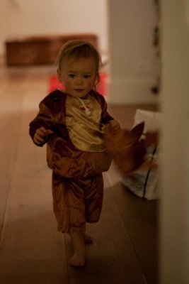 IMG_2443.jpg