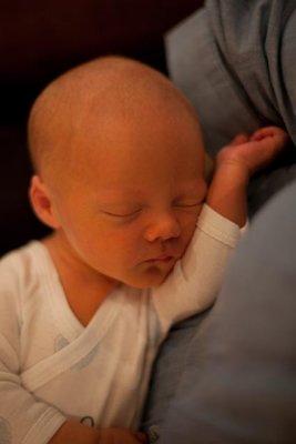 IMG_2691.jpg