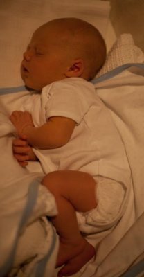 IMG_2898.jpg