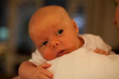 IMG_3129.jpg
