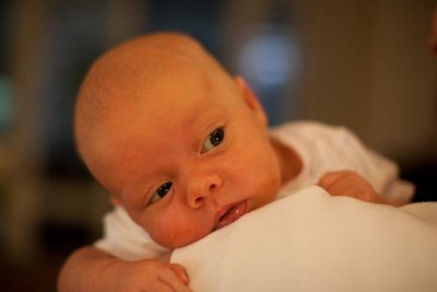 IMG_3134.jpg
