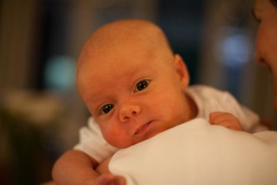 IMG_3139.jpg
