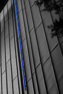 bw_MG_2573.JPG