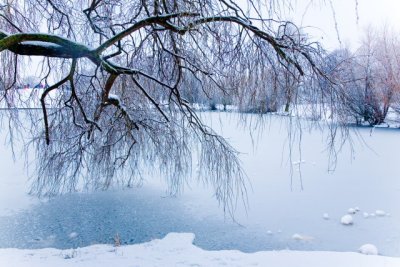 IMG_1078.JPG