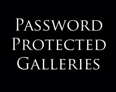 Password Protected Galleries