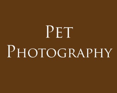 Pet Photography.jpg