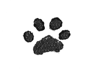 Paw Print.jpg