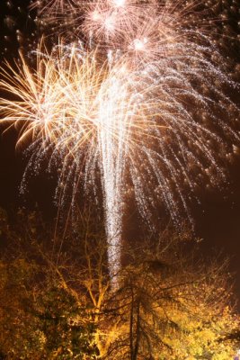 IMG_4589.JPG