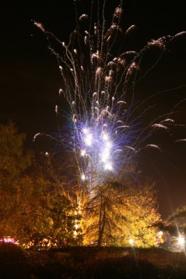 IMG_4594.JPG
