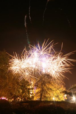 IMG_4595.JPG