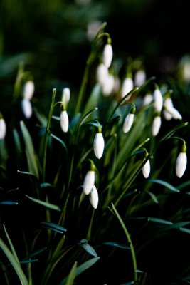 IMG_1597.JPG