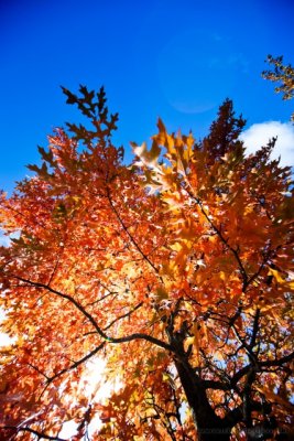 IMG_6314.JPG